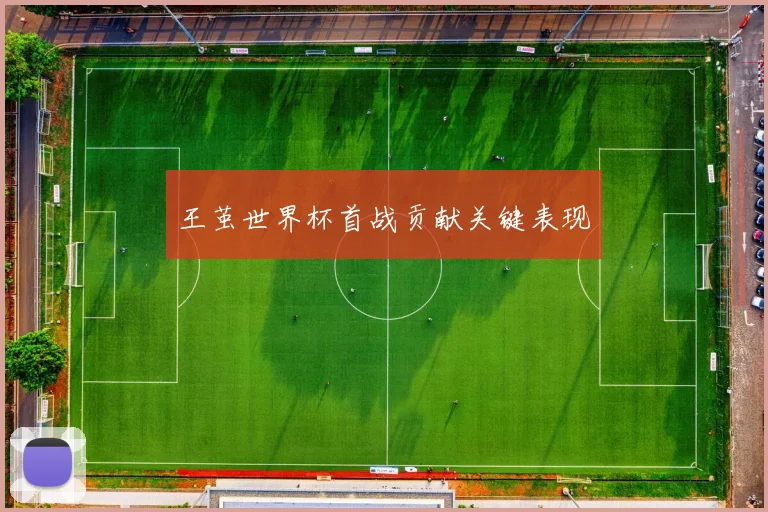 王茧世界杯首战贡献关键表现