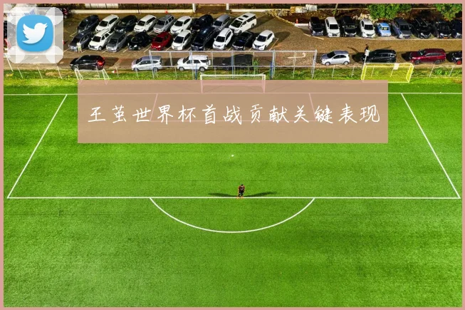 王茧世界杯首战贡献关键表现