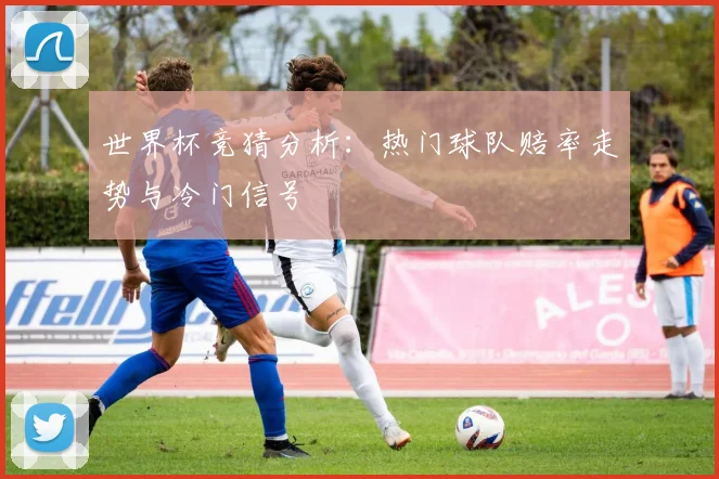 世界杯竞猜分析：热门球队赔率走势与冷门信号