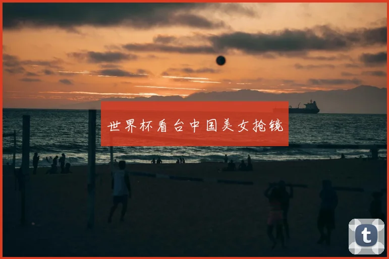 世界杯看台中国美女抢镜
